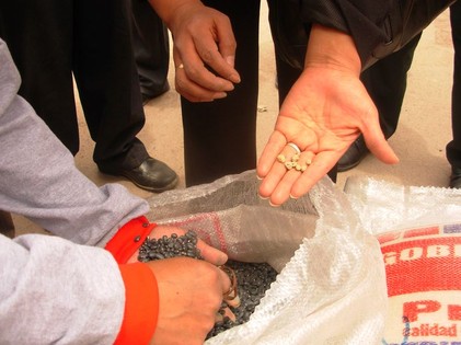 Pronaa nuevamente se encuentra en el ojo de la tormenta