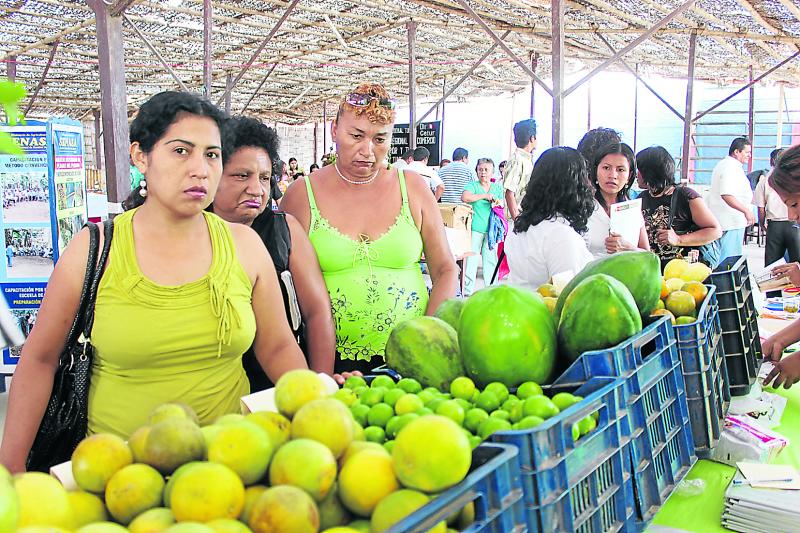 Denuncian irregularidades en licitación de EMMSA