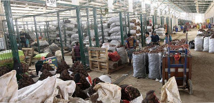 Relima demanda al municipio de Lima por S/.3.7 millones