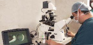 Universidades hacen uso deficiente o nulo de recursos del canon para investigación