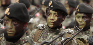 Caso Global CST: Revelan que FFAA nunca solicitaron asesoría militar