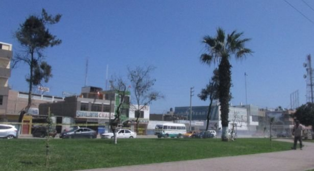 Municipalidad del Santa será denunciada por sembrado de grass Municipalidad del Santa será denunciada por sembrado de grass