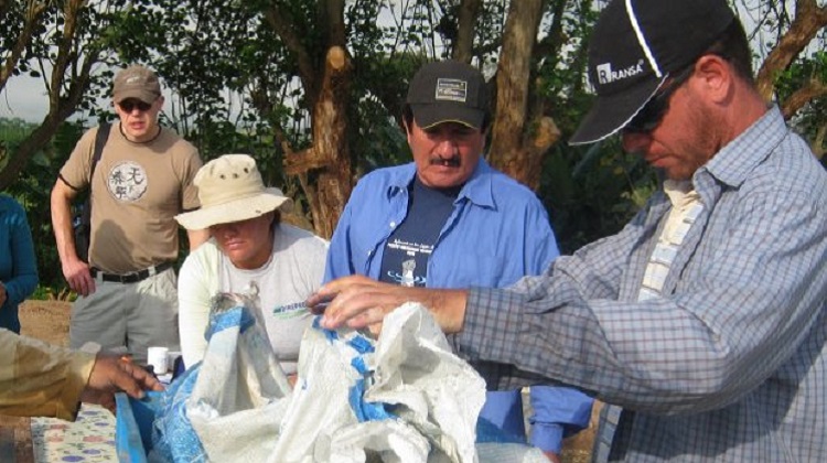 Fiscal acusa a jefe de Qali Warma en región San Martín