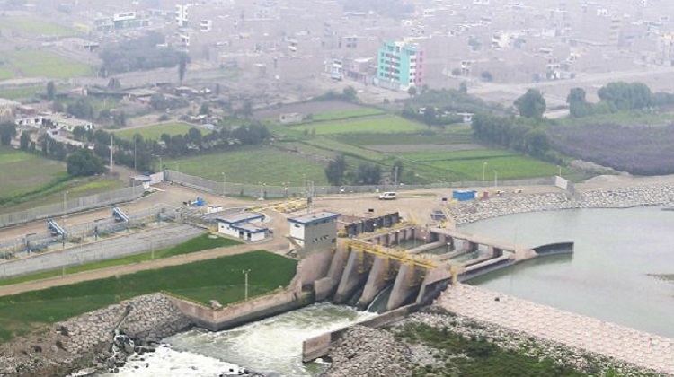 Huachipa: La planta reseca