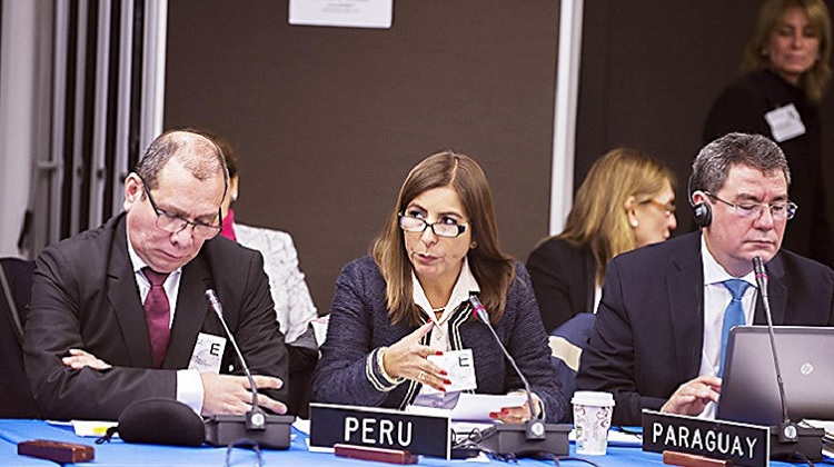OEA: Respaldan labor anticorrupción