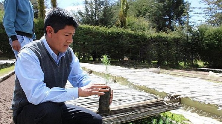 Puno: compran semillas a empresario sin experiencia en contrataciones