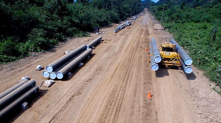 AFIN presentará esta semana sugerencias a proyecto que reemplazará al DU 003