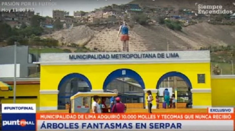 Denuncian que Serpar pagó S/340 mil por 10 mil árboles ‘fantasmas’