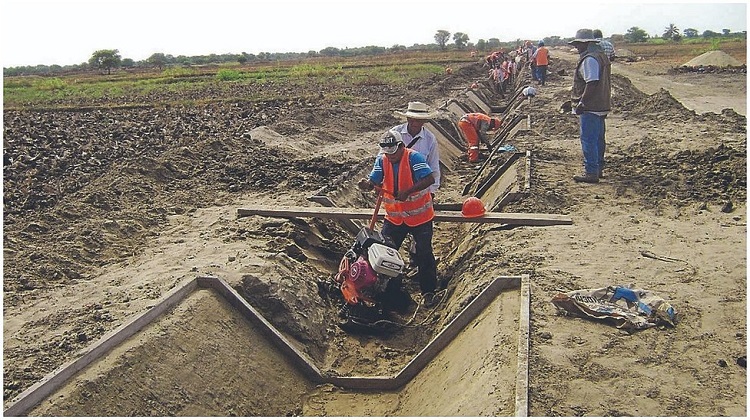Usan arena de duna para construir millonaria obra