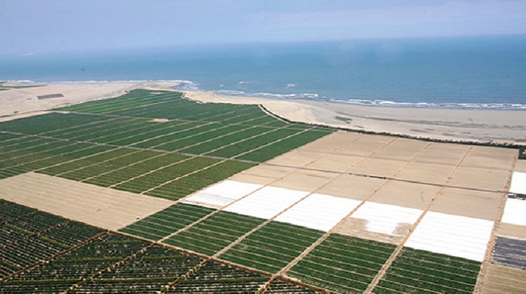 Paralizan la obra y demandan al Perú en el exterior