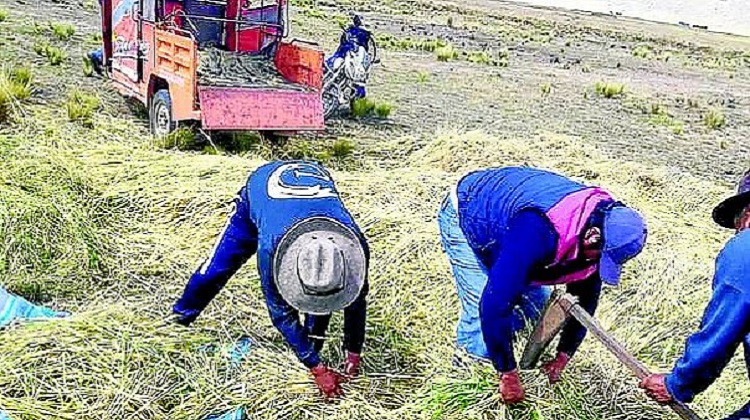 Postores denuncian que jefe de proyecto direccionó proceso en la municipalidad