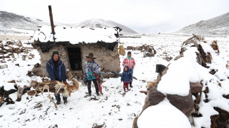Contraloría: compra tardía de kits de abrigo afectaría a damnificados de heladas y friajes