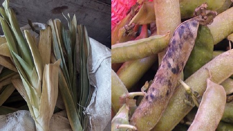 Moquegua: Compraron verduras y tubérculos malogrados para afectados por el volcán Ubinas