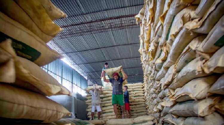 Devida iniciará compra de fertilizantes a través de Subasta Inversa Electrónica