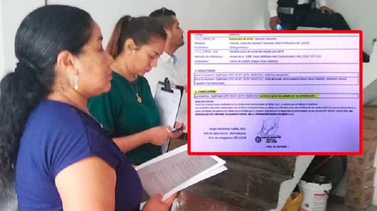 Llevaban carne de caballo a Qali Warma