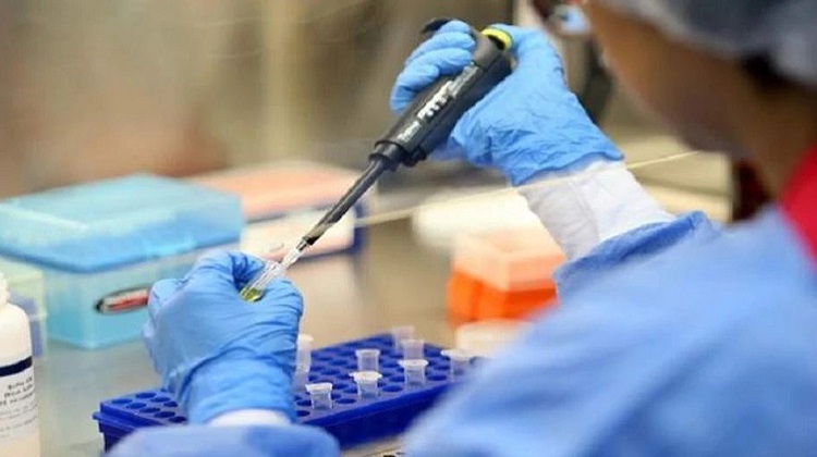 Pruebas moleculares: El 53% recién está por llegar