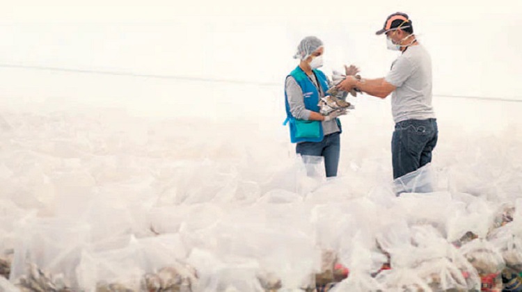 Compras sobrevaloradas de alimentos en el Callao y La Perla