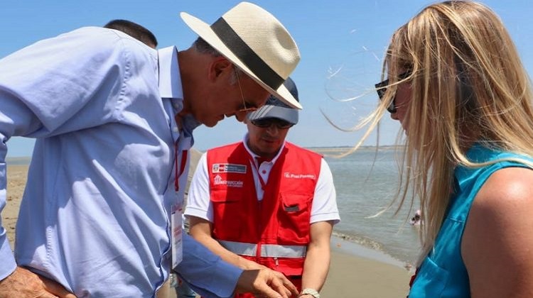 ARCC: ¿En qué consiste el trabajo Gobierno a Gobierno con el Reino Unido?