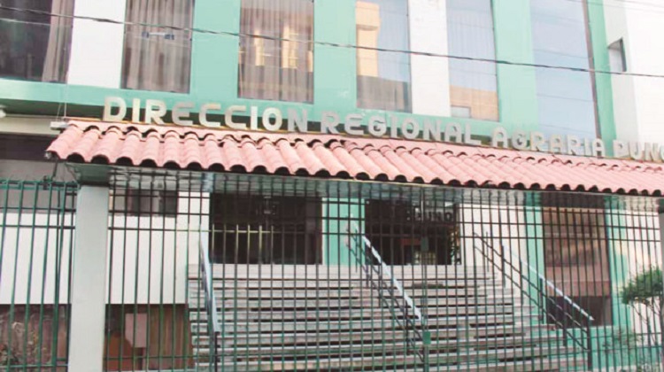 Puno: Licitación direccionada en dirección de agricultura