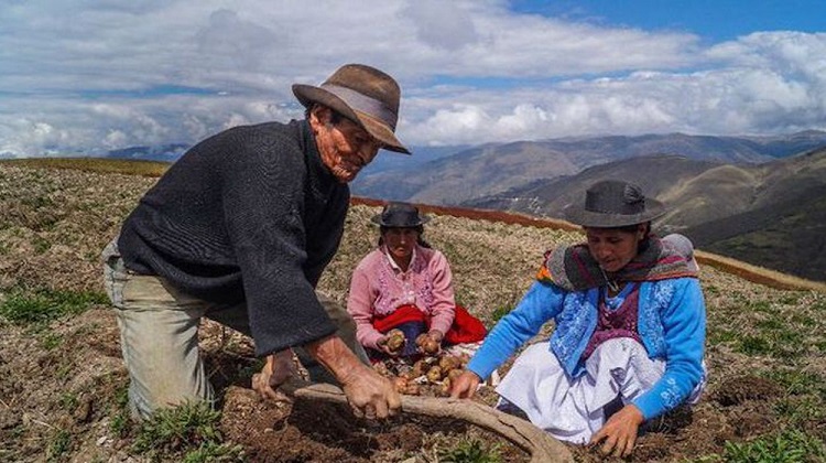 Ejecutivo promulga ley de compras estatales a la pequeña agricultura