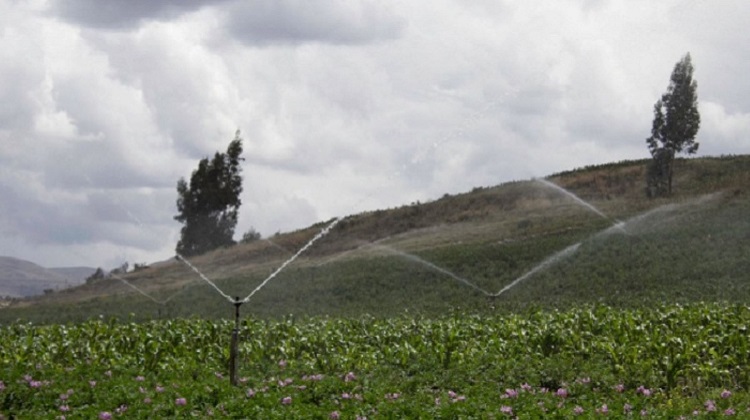 Convocarán licitación pública para ejecutar 4 proyectos de riego en Ayacucho y Cajamarca