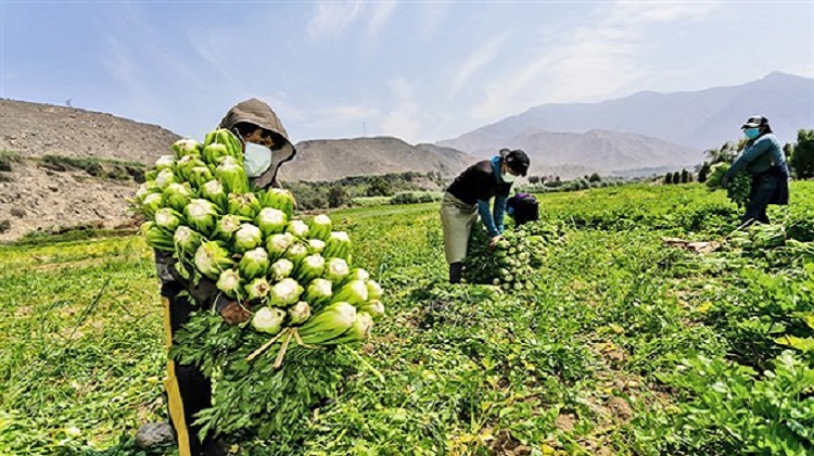 Reglamento de Compras Estatales de la Agricultura Familiar listo en 10 días