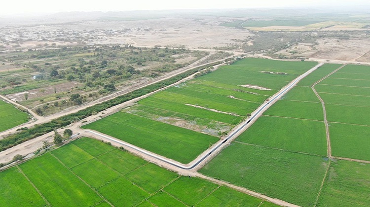 Piura: PSI declara nula suscripción de contrato para ejecución del canal Quiroz