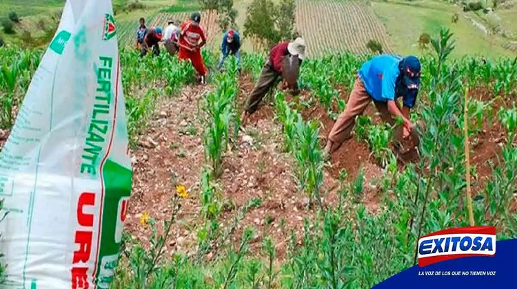 Contraloría: Convocatoria para adquirir urea por más de S/300 millones carecía de condiciones