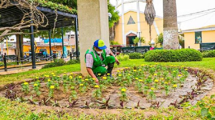 Empresa sin experiencia ganó bueno pro de S/ 24 millones por áreas verdes de La Molina