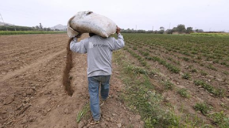 Fertilizantes: audios revelarían que hubo coima de por medio en licitación otorgada por AgroRural