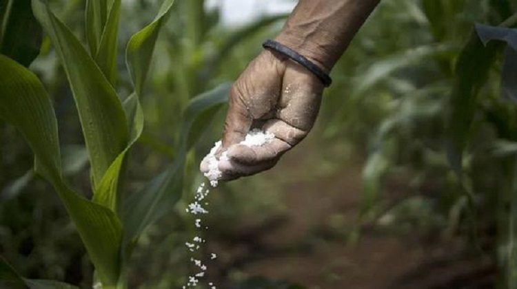 Fertilizantes: Midagri confirma anulación de licitación realizada por Agrorural
