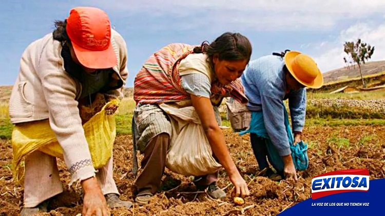 Midagri dispone adoptar medidas correctivas en compra de fertilizantes