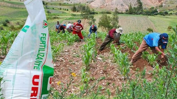Agro Rural: proceso de compra de urea fue diseñado con altos estándares de contratación