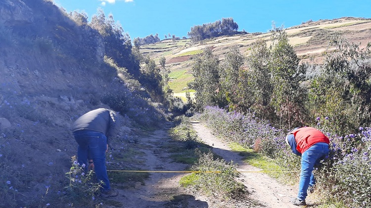 Contraloría: Municipalidad de Julcán contrató a consorcio  sin experiencia para mantenimiento de un camino vecinal