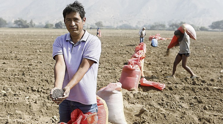 Tercer concurso por la urea será de solo 65.587 toneladas