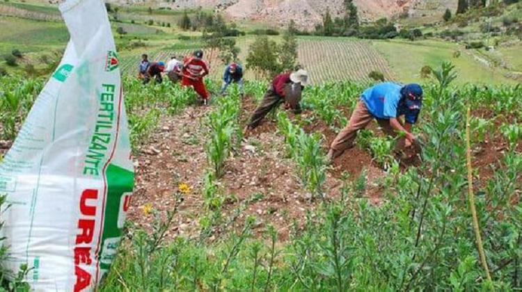 Contraloría: ‘en última compra de fertilizantes no hubo correcta evaluación de empresas’