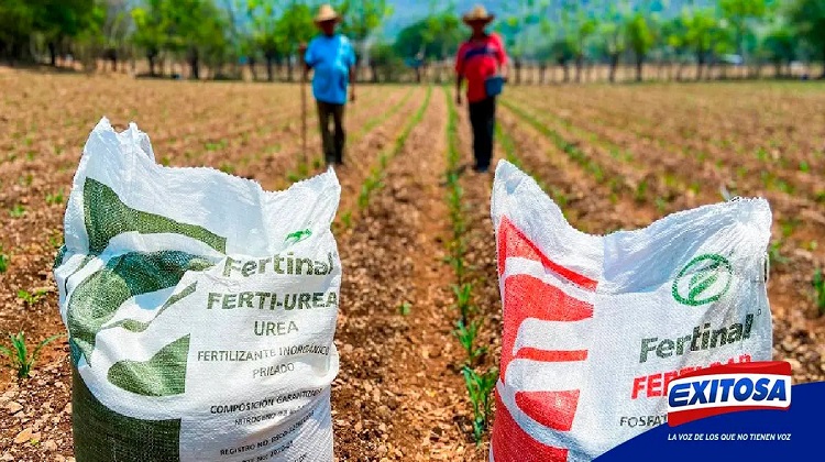 Empresa encargada para comprar urea no cumple requisitos mínimos, advierte especialista