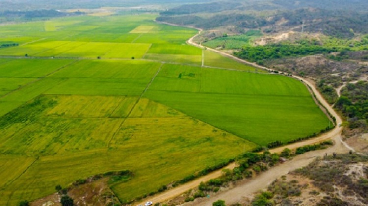 MTC informará sobre próximas licitaciones para mejorar vías departamentales