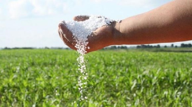 Proceso de compra de urea por parte del Gobierno aún no culmina