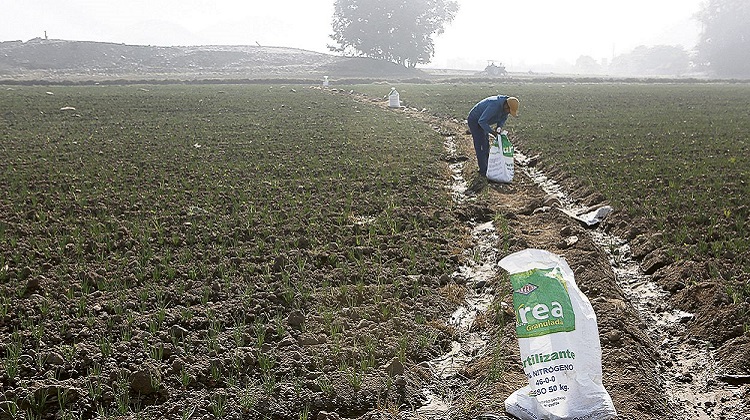 Empresa paraguaya Direcagro proveerá de urea al Perú, pero será US$ 7,9 millones más cara
