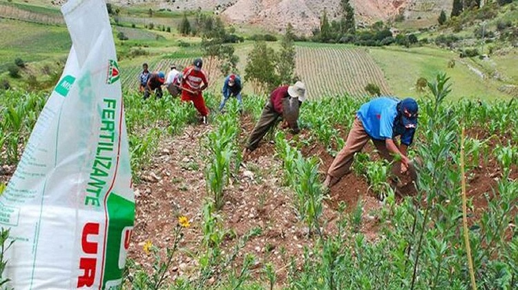 Fertilizantes: habrá un cuarto proceso de licitación de urea, confirma Midagri