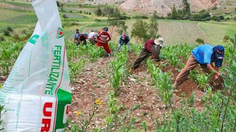 Fertilizantes: proveedores internacionales de urea presentarán sus ofertas hasta el 14 de octubre