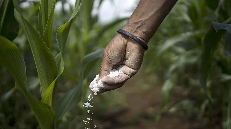 Prime Charters International gana la cuarta licitación de Midagri para traer 44.000 TM de urea