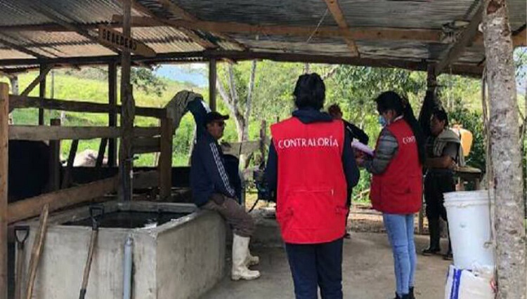 Oxapampa: detectan perjuicio de S/ 261,000 en proyecto de cadenas productivas