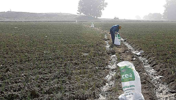 Urea llegaría máximo a inicios de enero de 2023, según Midagri