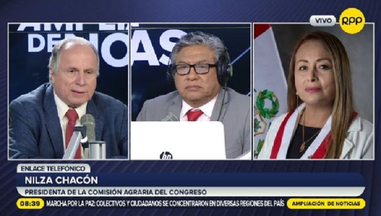 Fracasada compra de urea muestra “gran ineficacia” de funcionarios del Gobierno de Pedro Castillo, aseguró Nilza Chacón