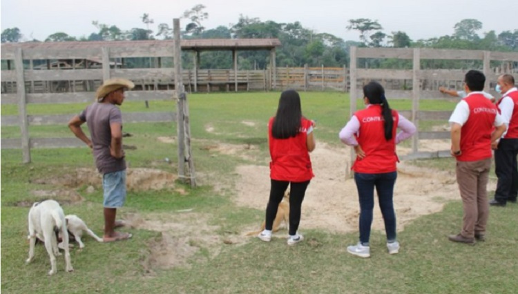 Madre de Dios: Detectan irregularidades en proyecto ganadero que se desarrolla en Tahuamanu