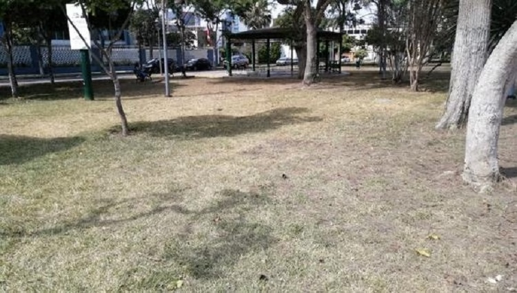 Municipalidad de San Isidro anuló contrato de empresa encargada del mantenimiento de parques