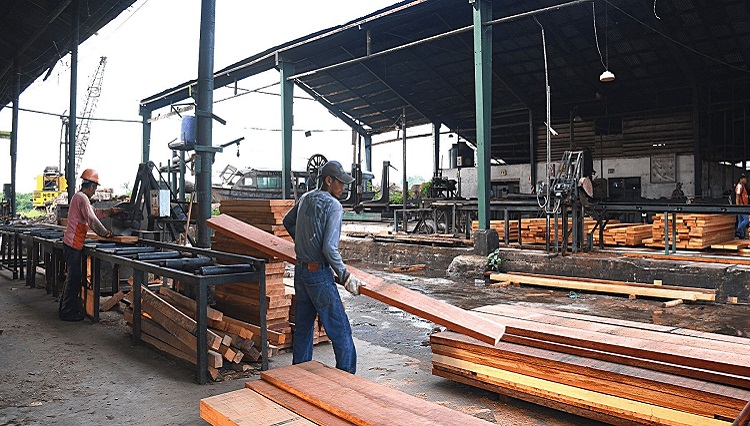 Perú Compras: proveedores de madera vendieron S/ 15 millones vía catálogos electrónicos