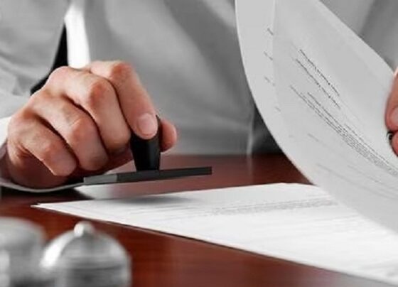 Business Intelligence en contrataciones públicas: claves para el crecimiento empresarial